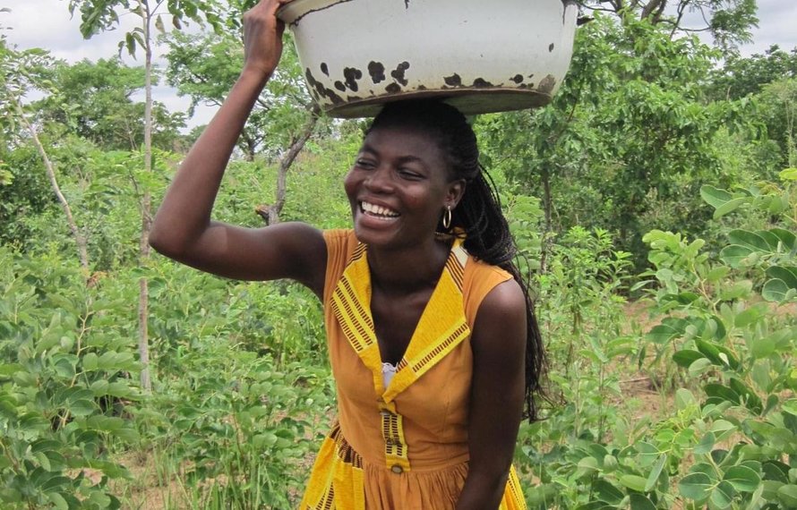 Fair Chain vs Fair Trade Shea Butter