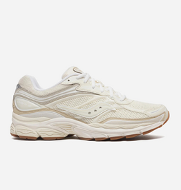 Saucony Progrid Omni 9 (Beige/Silver) S70832-5