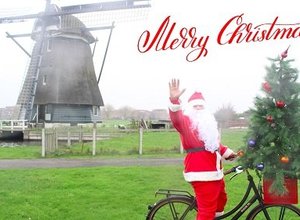 Fietskrat onder de boom!