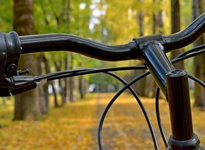 Fietskrat accessoires voor de herfst