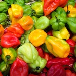 peppers