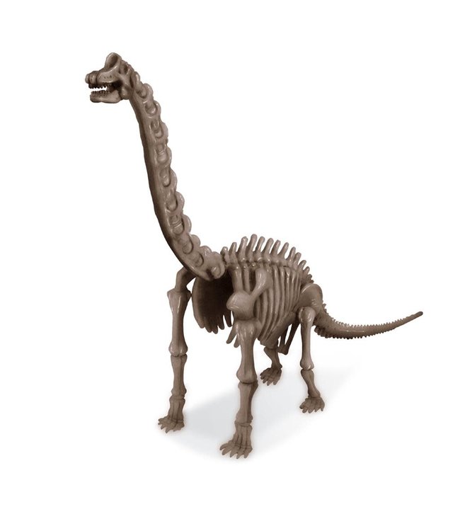 4M Kidzlab Dig a Dinosaur Skeleton Brachiosaur