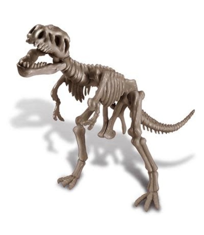 4M Kidzlab Dig a Dinosaur Skeleton Tyrannosaurus Rex