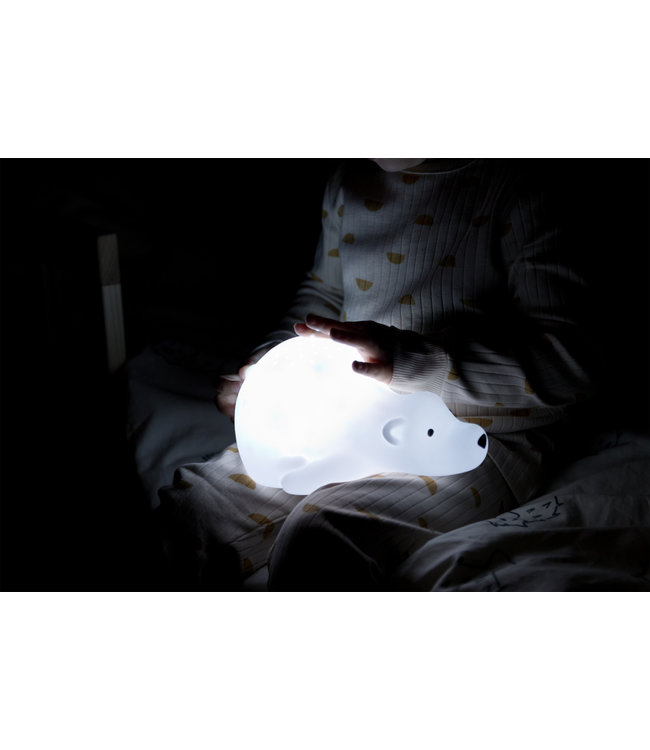 Flow Bjorn -  Projector