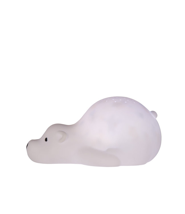 Flow Bjorn -  Projector