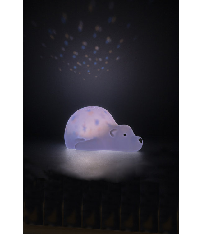 Flow Bjorn -  Projector