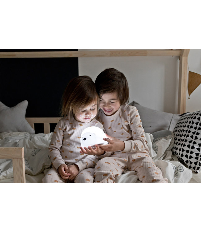 Flow Bjorn -  Projector