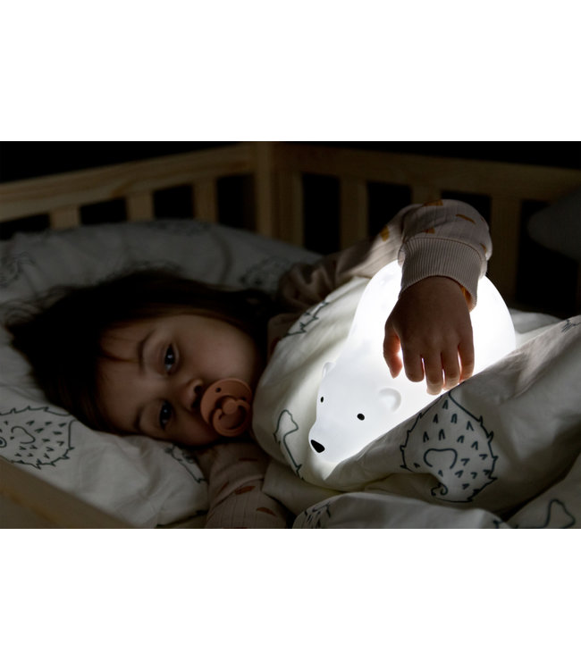 Flow Bjorn -  Projector