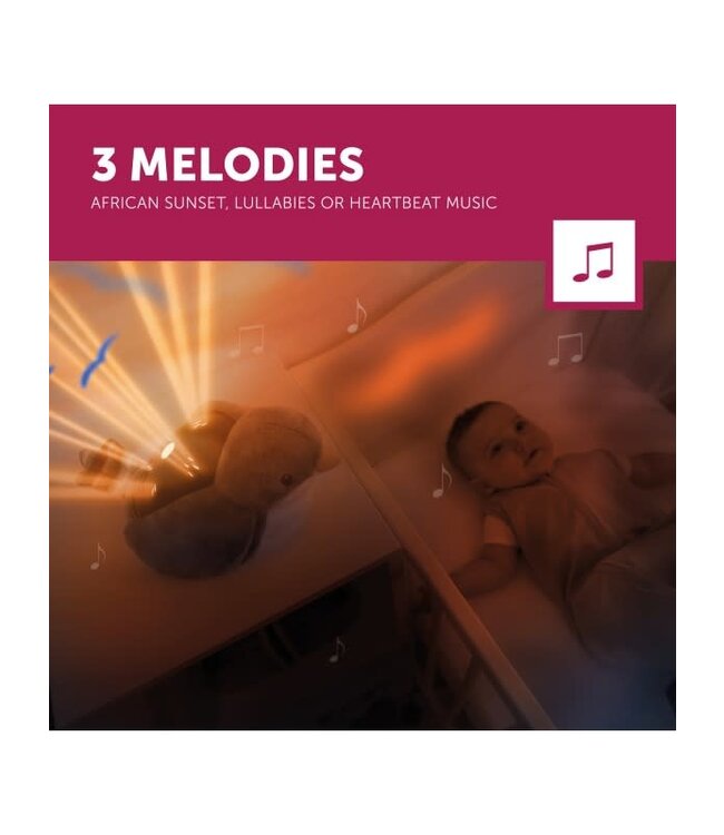 Zazu ZAZU - Sunset projector - Shally Green