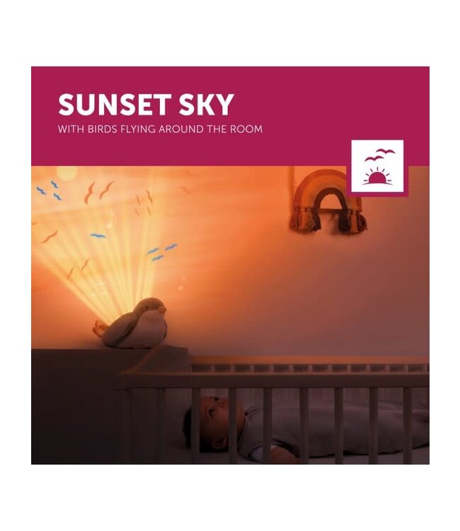 Zazu ZAZU - Sunset projector - Shally Green