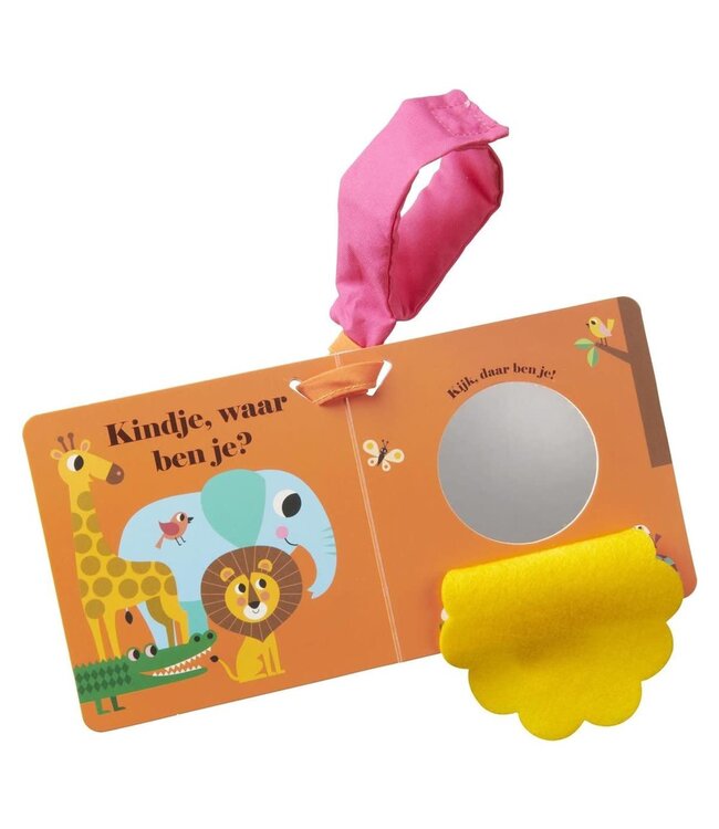Leeuw, waar ben je? Buggyboekje Ingela P. Arrhenius