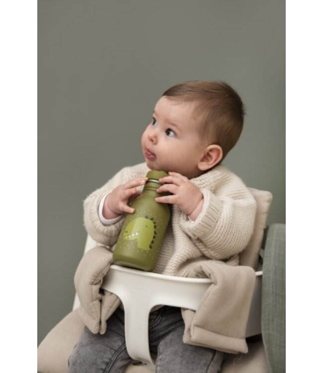 Trixie RVS Drinkfles met rietjes dop 350 ml Mr Dino
