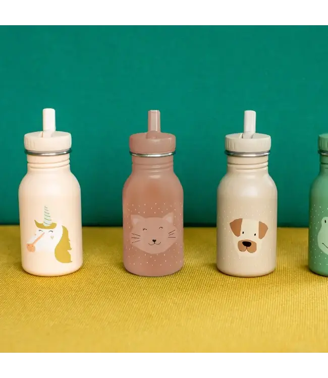 Trixie RVS Drinkfles met rietjes dop 350 ml Mrs Unicorn