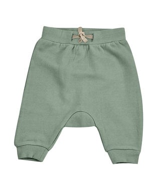 Pigeon Jersey joggers GOTS Katoen Old Green