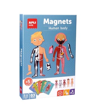 Menselijk Lichaam Magneetkaart - 63 Delig