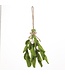 Felt so good Kersthanger Mistletoe - Handmade & Biodegradable
