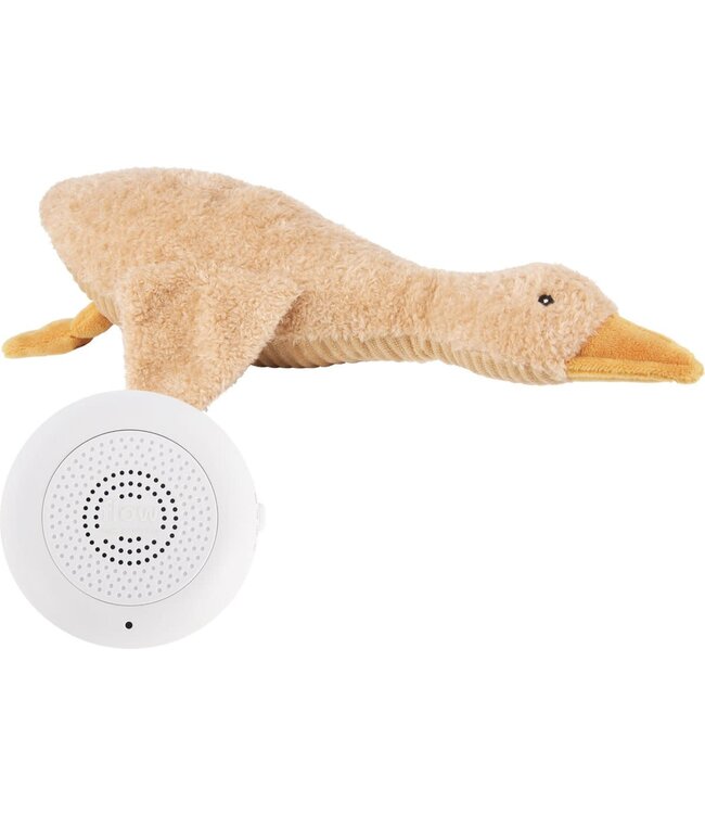 Flow Liva Brown -  hartslagknuffel oplaadbaar