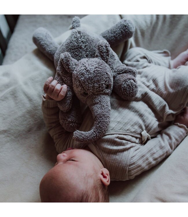 Flow George Grey -  hartslagknuffel oplaadbaar