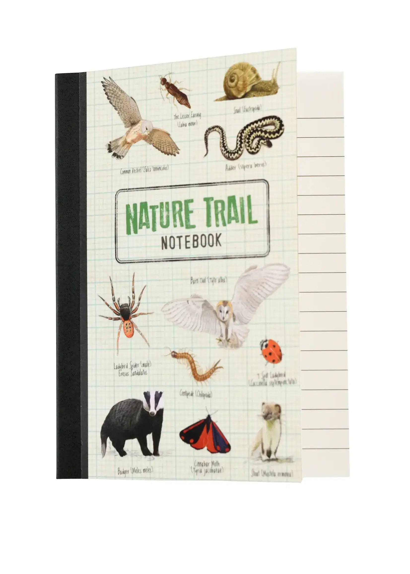 Notebook Nature Trail - A6