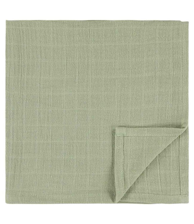 Trixie Hydrofieldoeken GOTS 3 pack 55x55 cm - Daring Dino