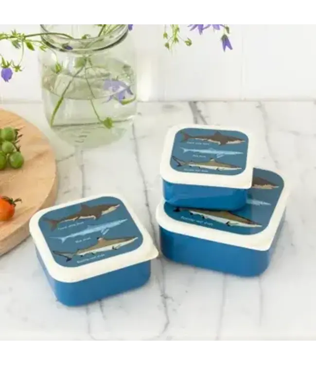 Snack boxes  (set van 3) Sharks