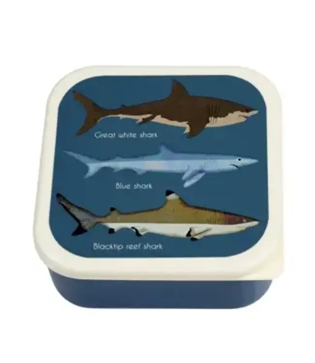 Snack boxes  (set van 3) Sharks