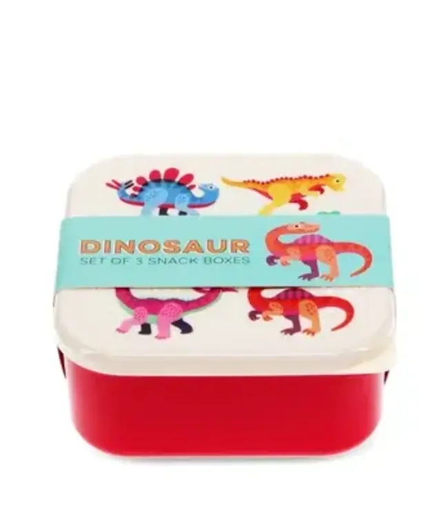 Snack boxes  (set van 3) Baby Dino's