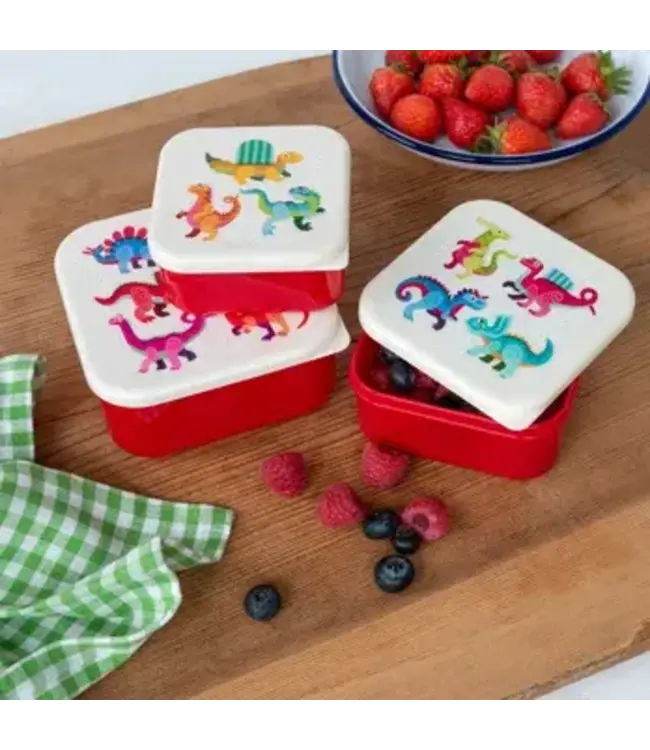 Snack boxes  (set van 3) Baby Dino's