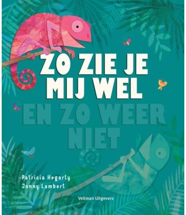 Zo zie je mij wel en zo weer niet - Patricia Hegarty