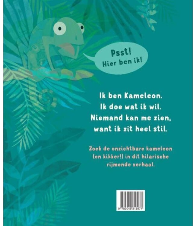 Zo zie je mij wel en zo weer niet - Patricia Hegarty