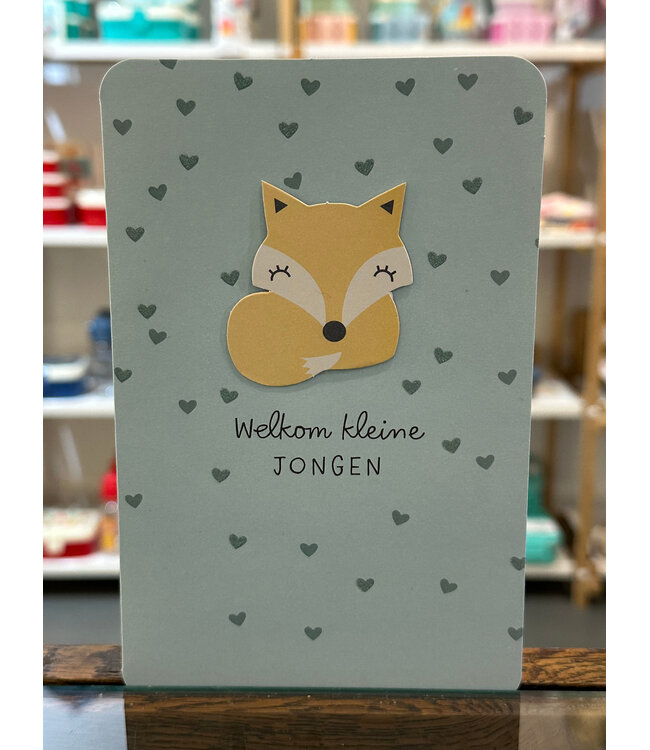 Hallmark Welkom kleine jongen - Dubbele kaart Vosje
