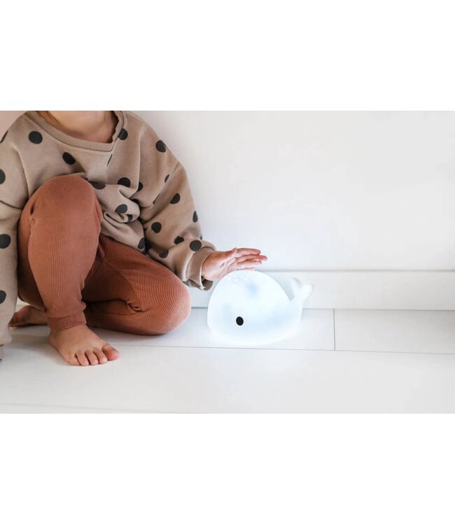 Flow Moby -  Projector