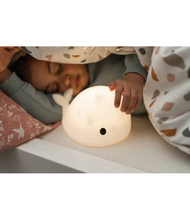 Flow Moby -  Projector