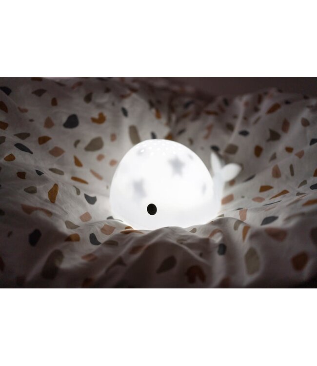 Flow Moby -  Projector