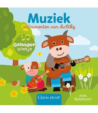 Muziekinstrumenten van dichtbij - Geluidenboek. Anita Bijsterbosch
