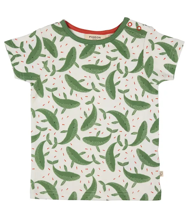 Pigeon Short sleeve T-shirt GOTS katoen  -  Whales
