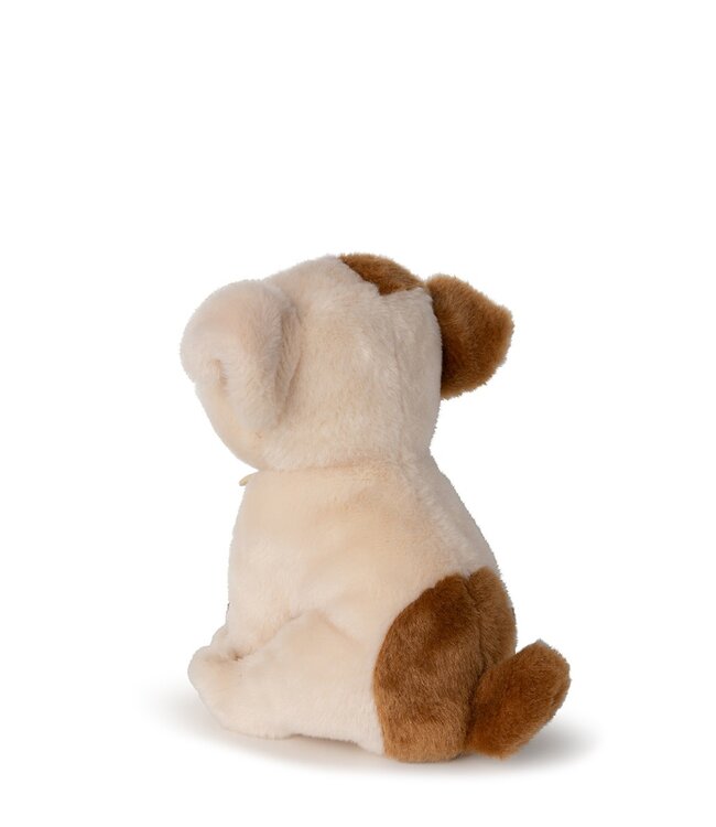 Bon Ton Toys Chaps Bertha the American Bulldog floppy in giftbox 17 cm