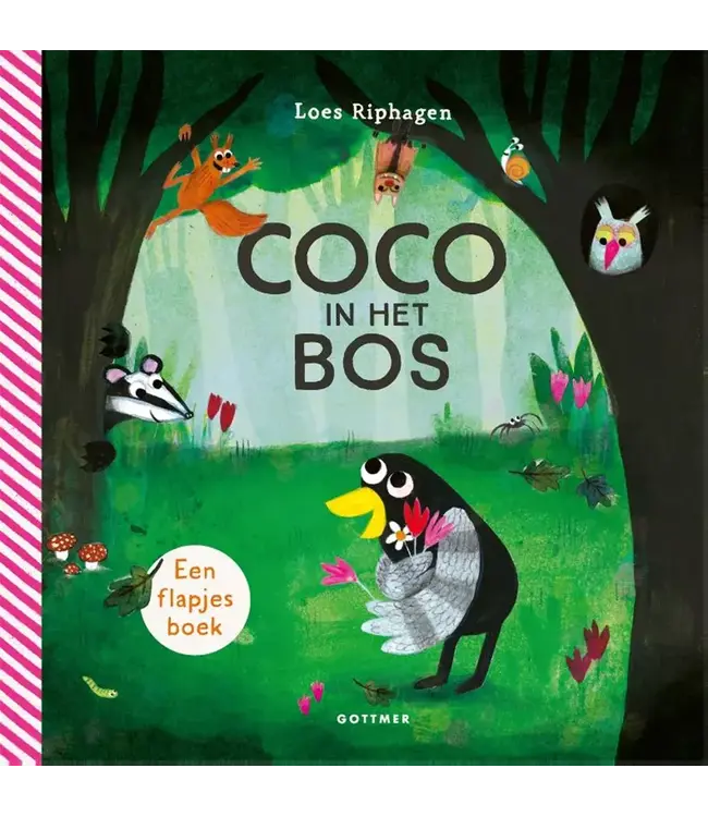 Kartonboek: Coco in het bos - Loes Riphagen