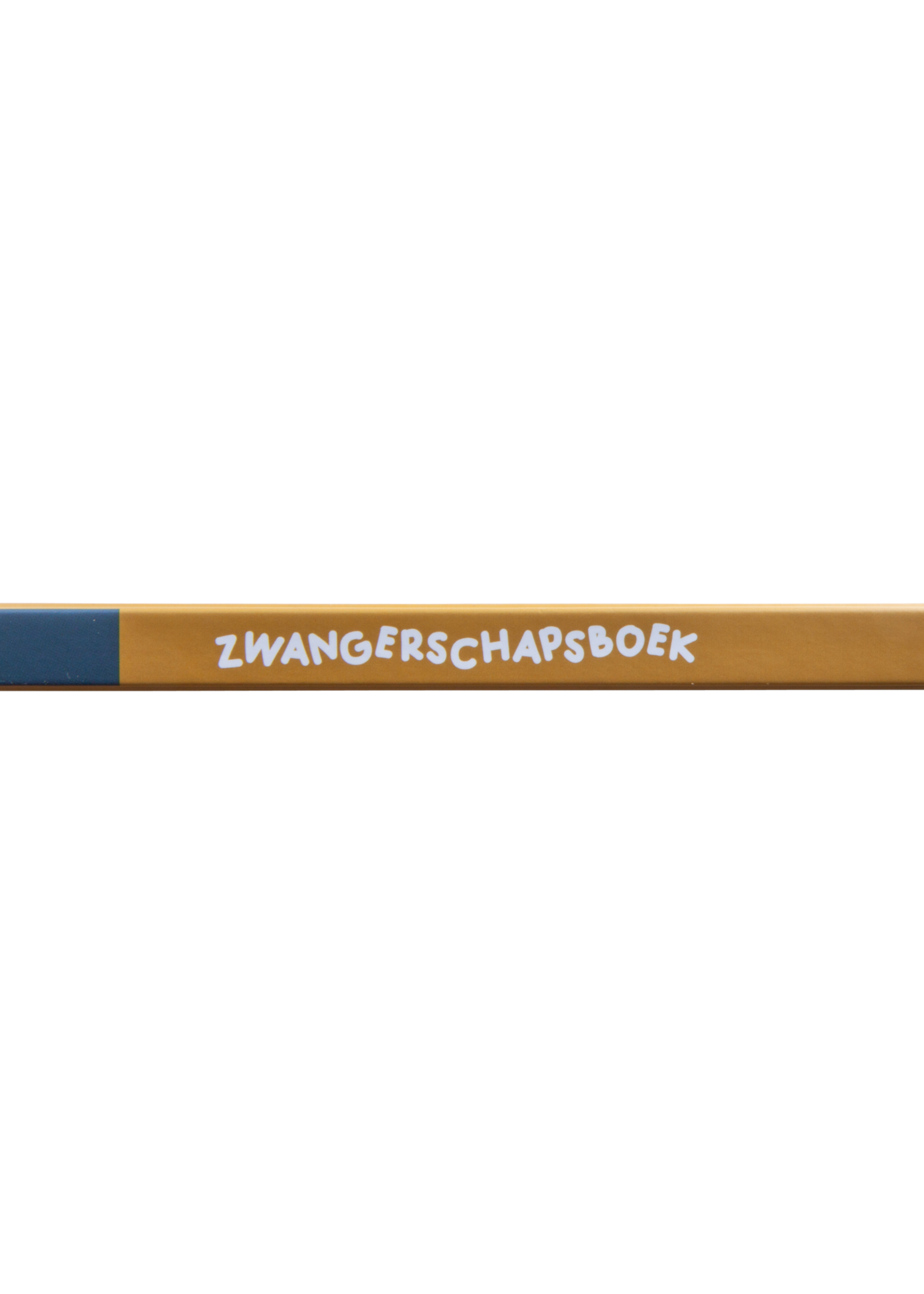 Zwangerschapsboek - invulboek