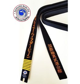 ISAMU IBK KYOKUSHIN BUDOKAI BLACK BELT - ALL ROUND FIGHTING