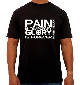 Pain is temporary glory is forever Pain is temporary glory is forever lenovo thinkpad t410 bios update