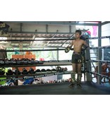 Booster Fight Gear Booster - Youth Gold Marble (Kick)Boxinggloves