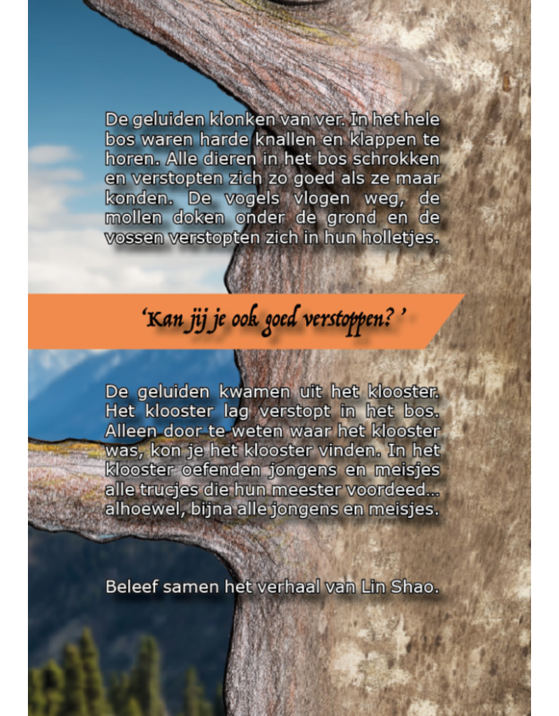 Het geheim van Lin Shao - Boekje