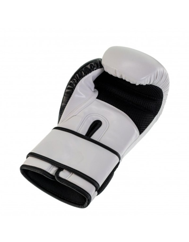 King Boxing Gloves Kids 2