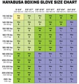 HAYABUSA Hayabusa S4 Boxing Gloves Teal