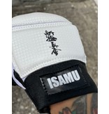 ISAMU Shinkyokushin Kanji Sparring Gloves