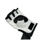 ISAMU Essentials - MMA/Sparring Handschoenen