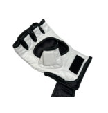 ISAMU ISAMU Essentials - MMA/Sparring Handschoenen