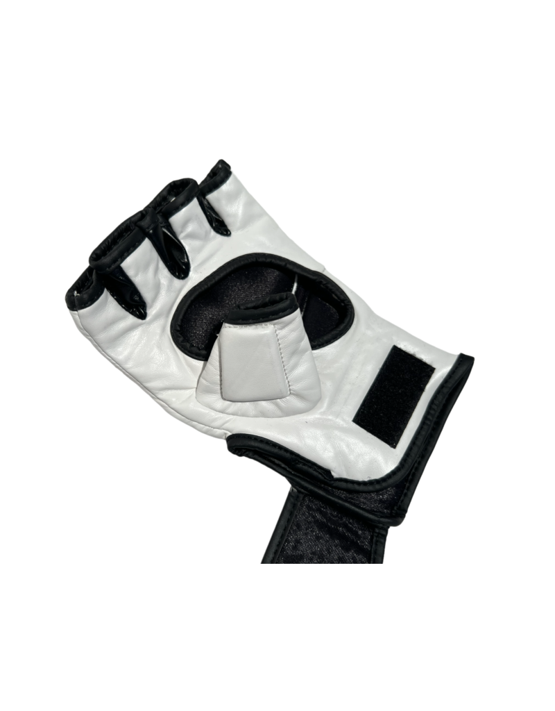 ISAMU Essentials - MMA/Sparring Handschoenen