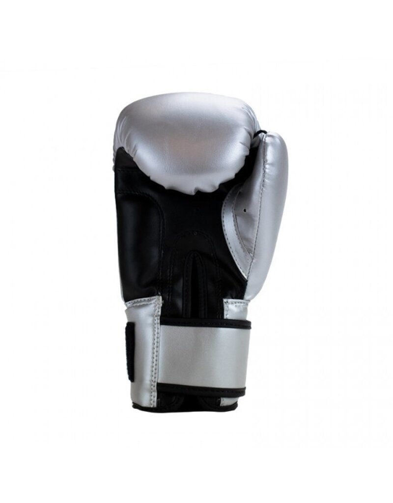 Super Pro Super Pro Combat Gear Talent (kick) boxing gloves Silver/Black